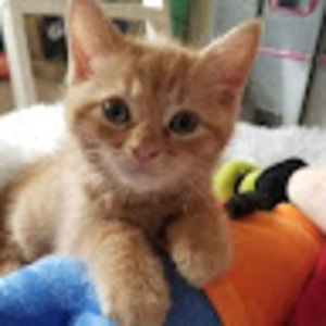 Meet your Posher, Catherine